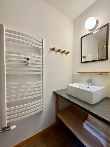 une salle de bain avec un lavabo blanc et un miroir dans l'établissement Le Grand Loup, appartement neuf avec bain nordique, à Gerbépal