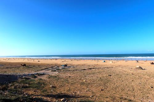 a beach with a group of people in the ocean at Little Beach House Sidi Kaouki in Sidi Kaouki