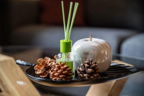 a tray with pine cones and a vase on a table at HIRSCH Stadt Apartment 2 - Terrasse mit Flussblick - Parkplatz in Bad Harzburg