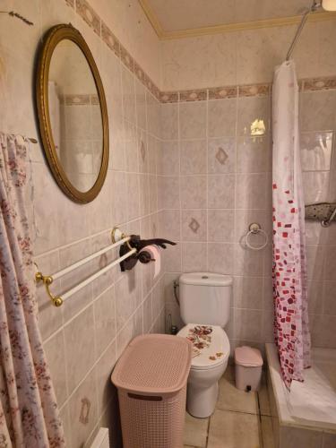 une salle de bain avec toilettes et miroir dans l'établissement Charmant 2 pièces tout confort, à Régusse