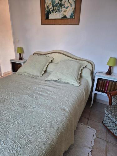 une chambre avec un lit avec deux tables de nuit et deux lampes dans l'établissement Charmant 2 pièces tout confort, à Régusse