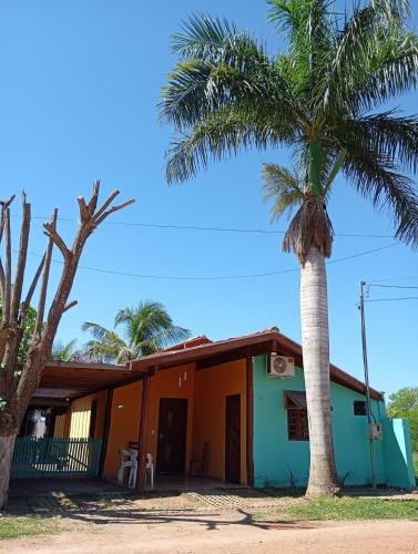 a palm tree in front of a house at Apto suíte Triplo com Ar e Frigobar in Bonito