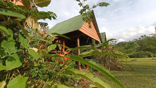 a small building with a green roof in a field at Hotel Jhazmin Aeropuerto in Drake