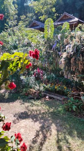 Κήπος έξω από το Ban Suan Nai Fun Homestay