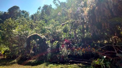 Κήπος έξω από το Ban Suan Nai Fun Homestay