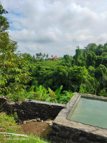 a swimming pool in the middle of a forest at The hidden cliff of North Bali in Sukasada