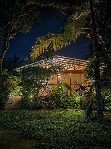 una casa de noche con una palmera en GrootII, en Hikkaduwa