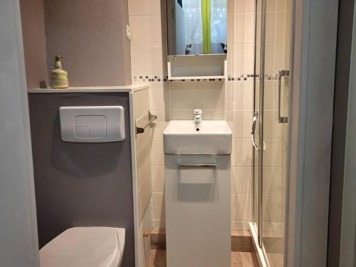 une salle de bain avec toilettes, lavabo et douche dans l'établissement Studio cosy avec parking, à 100m du centre, proche plage - FR-1-788-47, à Merville-Franceville-Plage