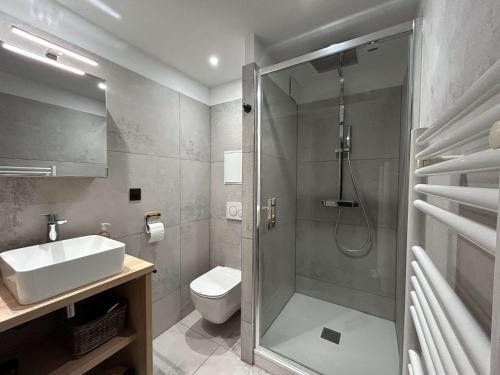 une salle de bain avec une douche, des toilettes et un lavabo dans l'établissement Appartement moderne, proche pistes, 4 pers, Wi-Fi, linge inclus - FR-1-180-650, à Les Allues