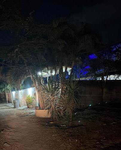 a house at night with a palm tree in front at sicilian villa in Mezcales