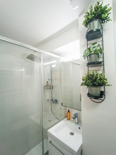 La salle de bains est pourvue d'un lavabo et de 2 plantes sur un mur. dans l'établissement Studio de Charme Quartier Carmes, à Toulouse