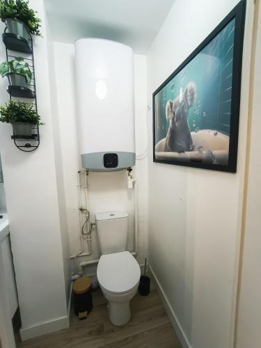 Studio de Charme Quartier Carmes photo 18
