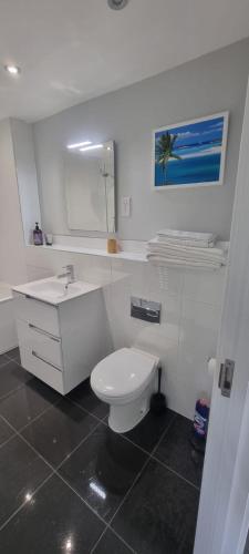 a bathroom with a white toilet and a sink at 3 Bedroom Beautiful Home with Garden, AC, Hot Tub in Portsmouth