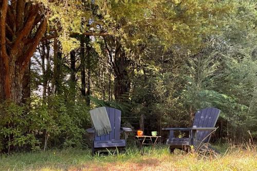 two chairs and a table in a yard with trees at The Divvy Hut Raglan Retreat in Raglan