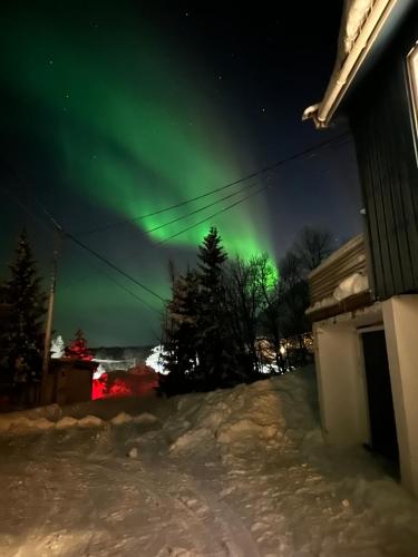 an aurora in the sky above a house in the snow at House with charm, valley with lots of northern lights, Breivikeidet in Tromsø