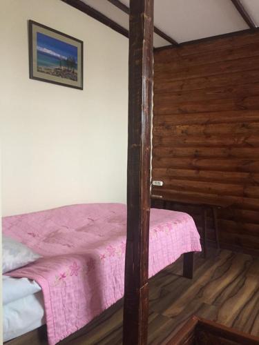 a bedroom with a bed with a pink blanket at Argo Guest House in Karakol