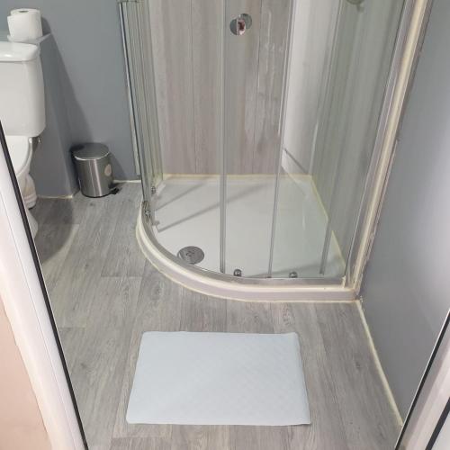 a shower with a glass door next to a toilet at Small Granny Apartment in Dublin
