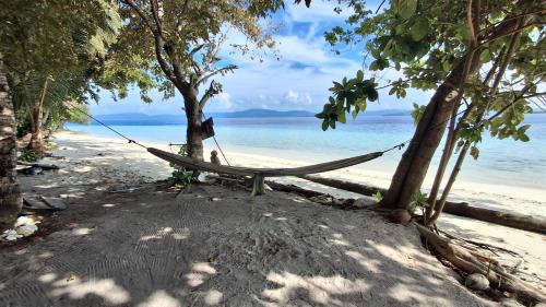a hammock hanging between two trees on a beach at Raja Ampat Jousuba Homestay in Minyaifuin