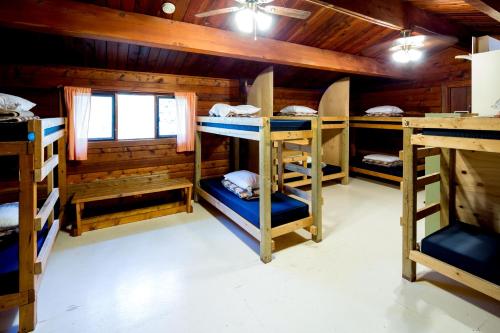 Двухъярусная кровать или двухъярусные кровати в номере HI Athabasca Falls - Hostel