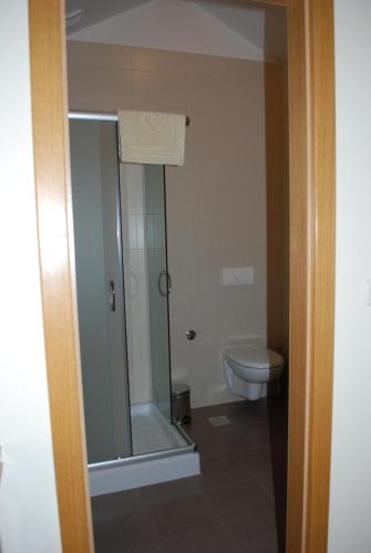 a bathroom with a shower and a toilet at Apartments Lumbarda Beach in Lumbarda