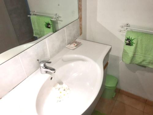 a bathroom with a sink and a mirror and green towels at Studio chaleureux à Sainte-Anne - 29m² avec jardin. in Sainte-Anne