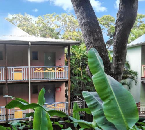 a house with a tree in front of it at Studio chaleureux à Sainte-Anne - 29m² avec jardin. in Sainte-Anne