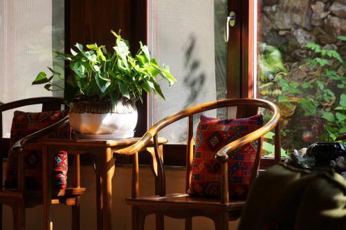 a potted plant sitting on a table next to two chairs at The Apsara Lodge-Airport or TS Free pick-up over 3 nights in Yangshuo