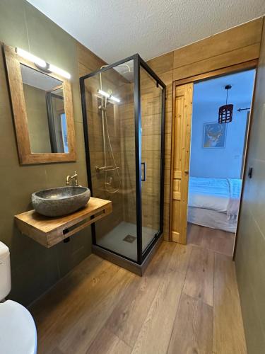 a bathroom with a sink and a glass shower at Appartement 'Paradi Ski, Bike & Hike' in Montalbert