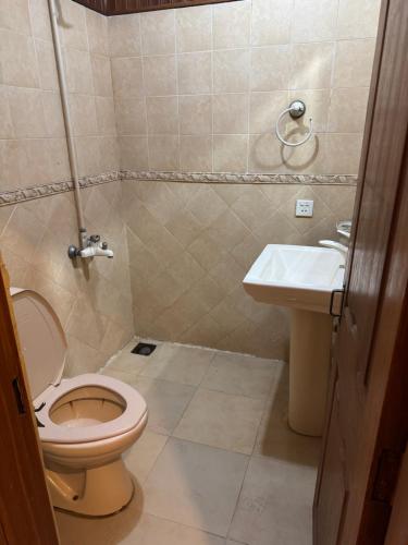 a bathroom with a toilet and a sink at City view hotel lawrance road in Lahore