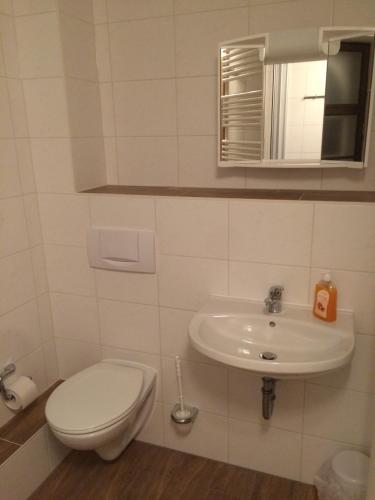 a bathroom with a toilet and a sink at Pension zur Wartburg in Görlitz