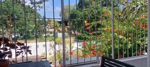 a window view of a garden with flowers in it at Colombo 07 Charming Home Stays in Colombo