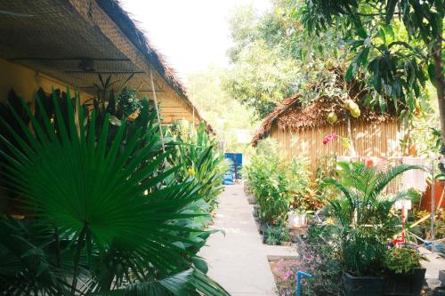 Κήπος έξω από το Siem Reap Homesteading II