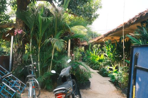 Κήπος έξω από το Siem Reap Homesteading II