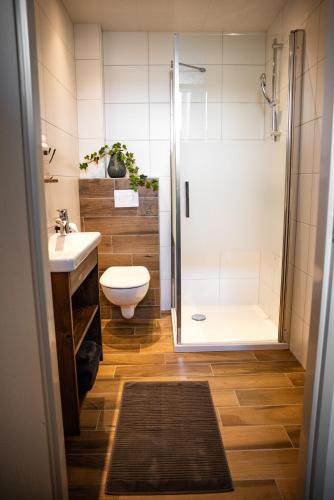 a bathroom with a shower and a toilet and a sink at Overnachten bij Vergeet me Niet in Blokzijl in Blokzijl