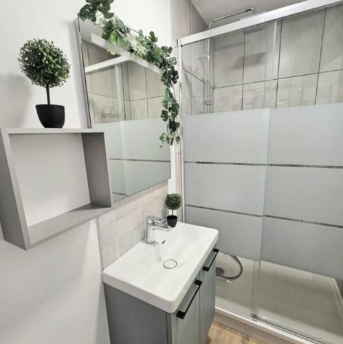 une salle de bain blanche avec un lavabo et une douche dans l'établissement Un jardin en ville - L Avenue des Voyageurs, à Boulogne-sur-Mer