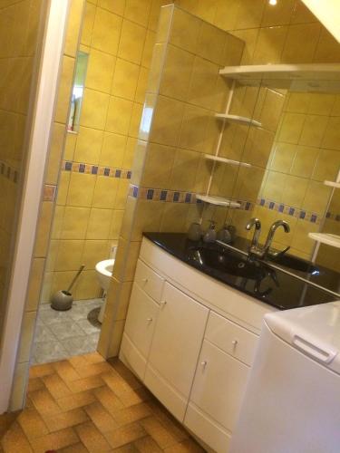 une salle de bain avec un lavabo et des toilettes dans l'établissement La maison de Berry, à Monistrol-sur-Loire