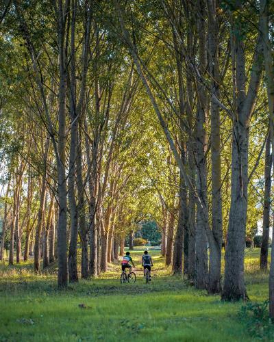 two people riding bikes down a tree lined path at Viesca Toscana Suites & Villas in Reggello