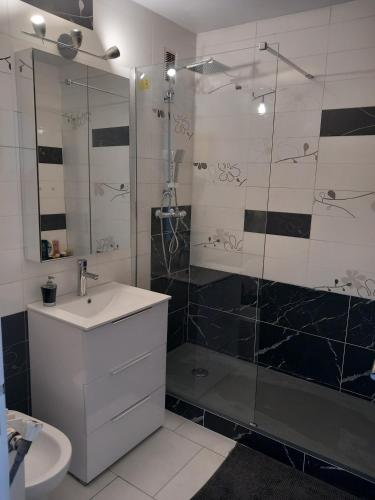 une salle de bain avec une douche et un lavabo et une douche dans l'établissement Chambre B1 dans un appartement en colocation, à Marseille