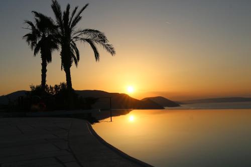 a sunset with a palm tree and a swimming pool at Anthidon Nature Estate & Farm in Chalkida