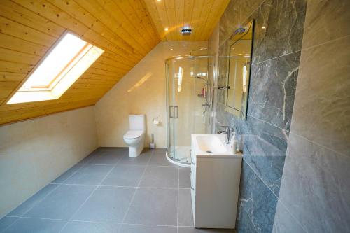 a bathroom with a sink and a shower and a toilet at Tullynore Villa in Hillsborough
