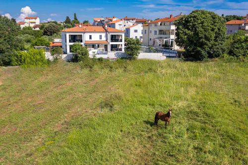 Polaris & Antares Villas