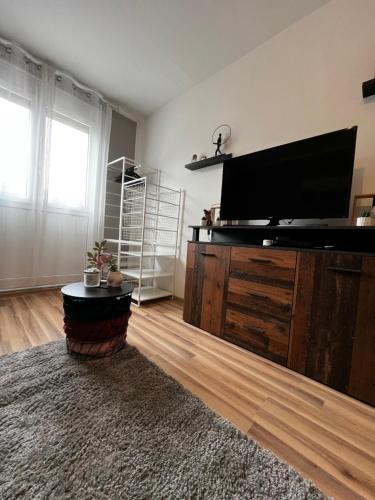 TV a/nebo společenská místnost v ubytování Renapartman
