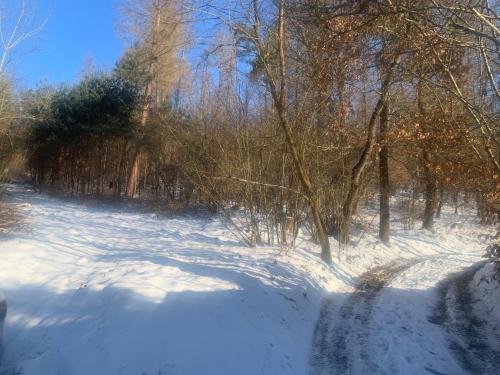 Chata Mareš durante el invierno