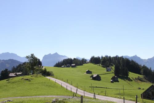 a green hill with houses and a road at Parkhotel Schwert in Weesen