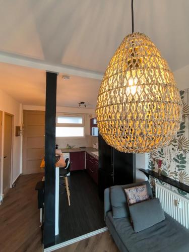 a living room with a large chandelier at Studio Cosy AspinIII in Pau