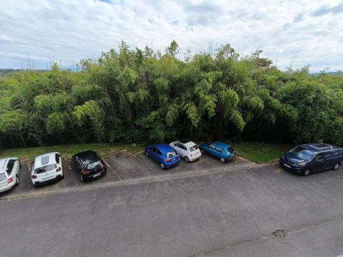 a group of cars parked in a parking lot at Studio Cosy AspinIII in Pau