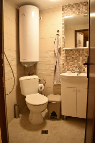 a small bathroom with a toilet and a sink at Коларова къща in Avren