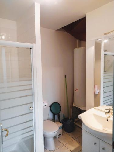 une salle de bain avec toilettes et lavabo dans l'établissement L 'appart de la volane, à Vals-les-Bains