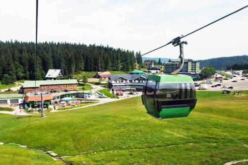 a green cable car flying over a field of grass at Herbstliche Auszeit für Familien und Paare - Ferienhaus Albmatte in Feldbergnähe - direkt neben dem Radon Revitalbad mit Sauna und Therme in St. Blasien