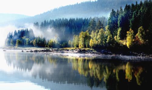 a body of water with trees in the background at Herbstliche Auszeit für Familien und Paare - Ferienhaus Albmatte in Feldbergnähe - direkt neben dem Radon Revitalbad mit Sauna und Therme in St. Blasien